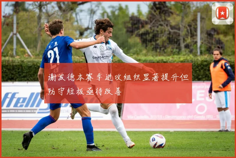 谢泼德本赛季进攻组织显著提升但防守短板亟待改善