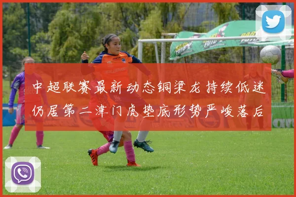 中超联赛最新动态铜梁龙持续低迷仍居第二津门虎垫底形势严峻落后安全区九分