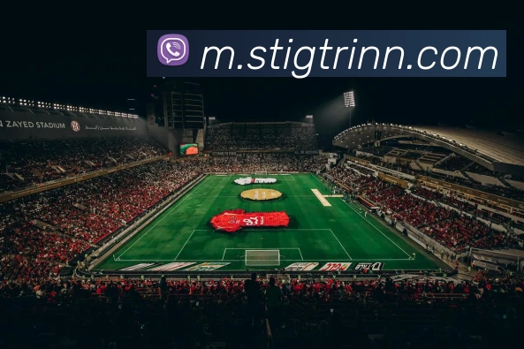 互动解说服务